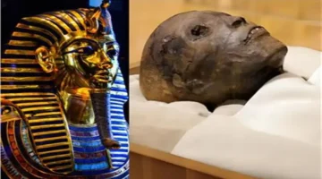 عدم عرض مومياء توت عنخ آمون في المتحف الكبير رغم تخصيص مساحة لها يثير تساؤلات حول أسباب القرار 1